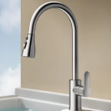 Water Filtration Swivel Spout Kitchen Faucet with Spray Image - 7