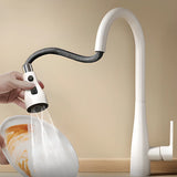 Water Filtration Swivel Spout Kitchen Faucet with Spray Image - 9