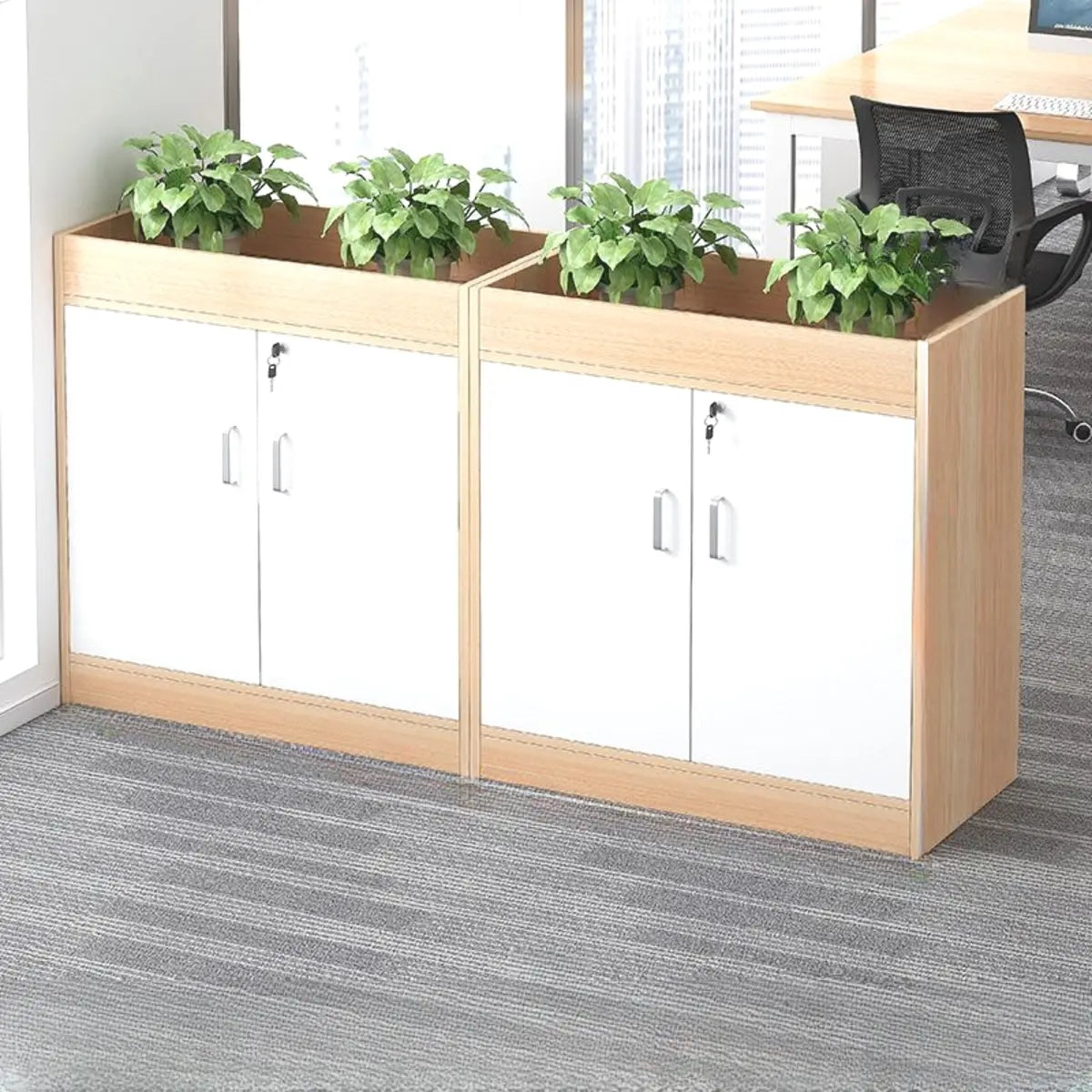 Waterproof Compact Wood Office Storage Cabinet with Handle Image - 3