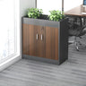 Waterproof Compact Wood Office Storage Cabinet with Handle Image - 9