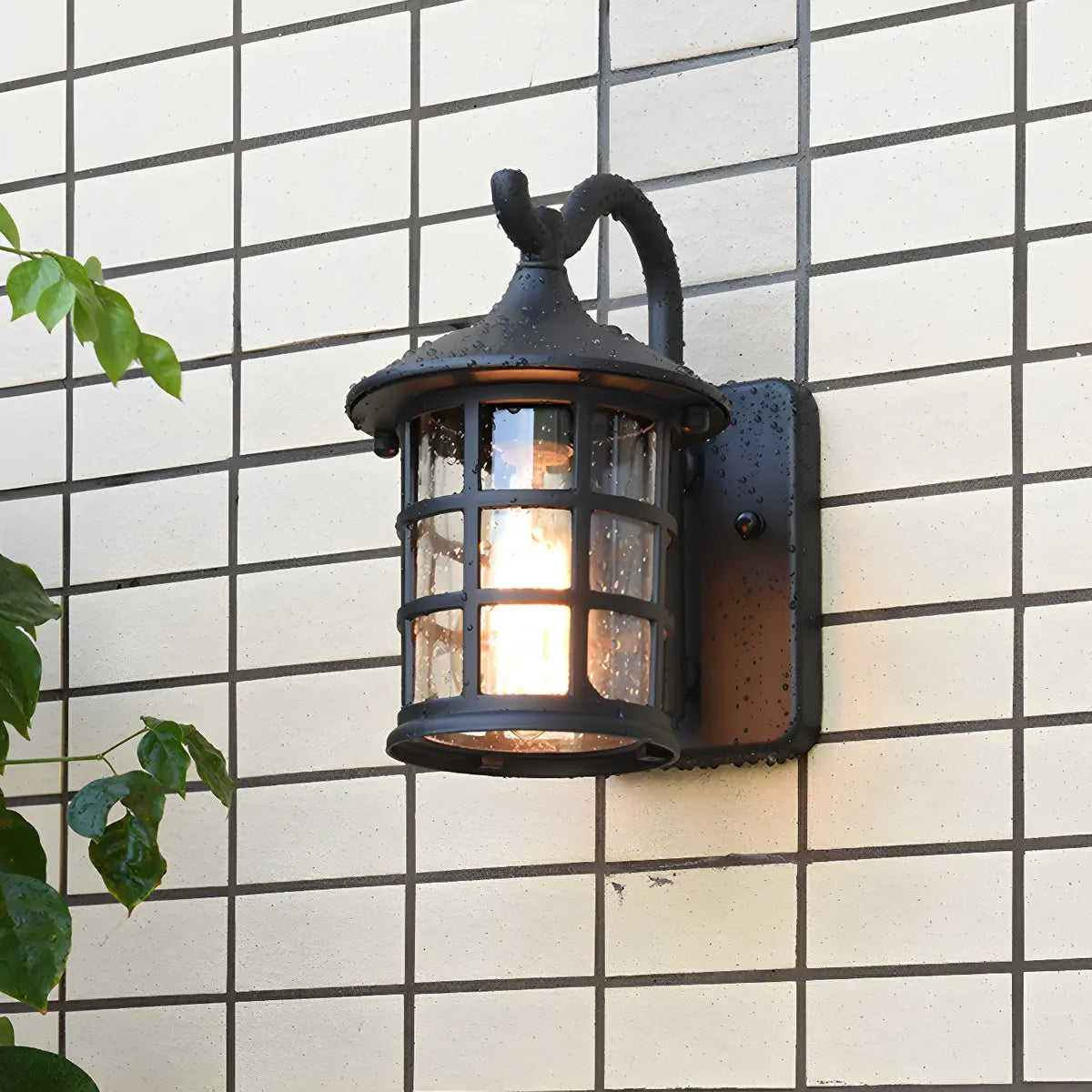 Waterproof Rustic Black Birdcage Glass Outdoor Wall Light Image - 2