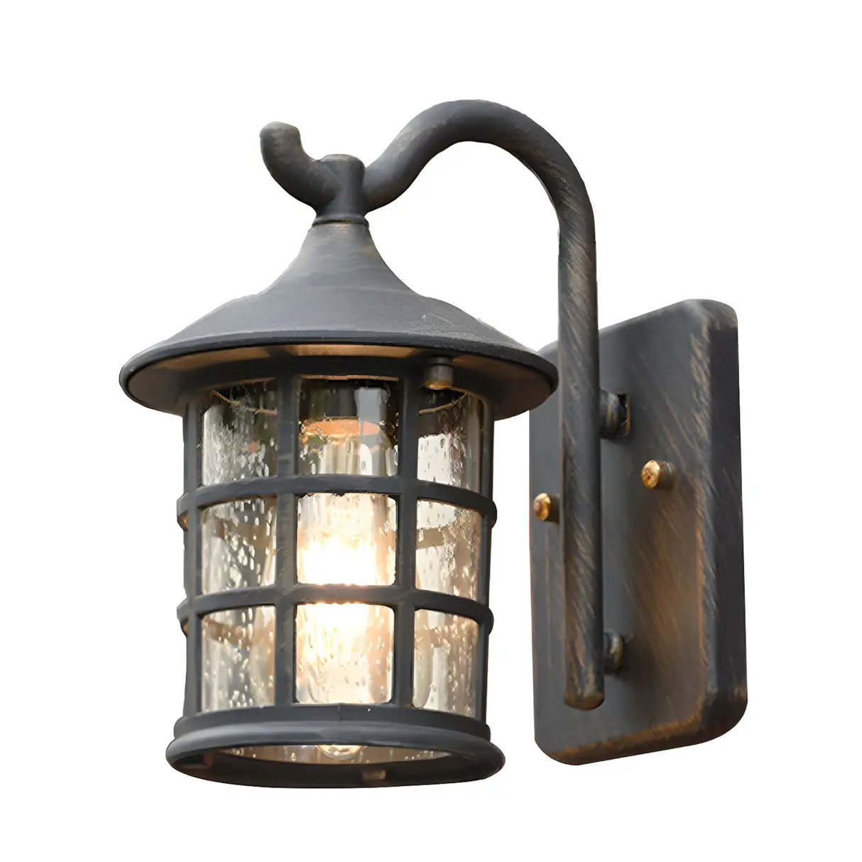 Waterproof Rustic Black Birdcage Glass Outdoor Wall Light Image - 7