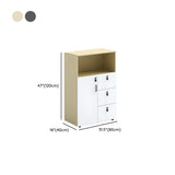 Wooden Lockable Door Natural Office Storage Cabinet #size