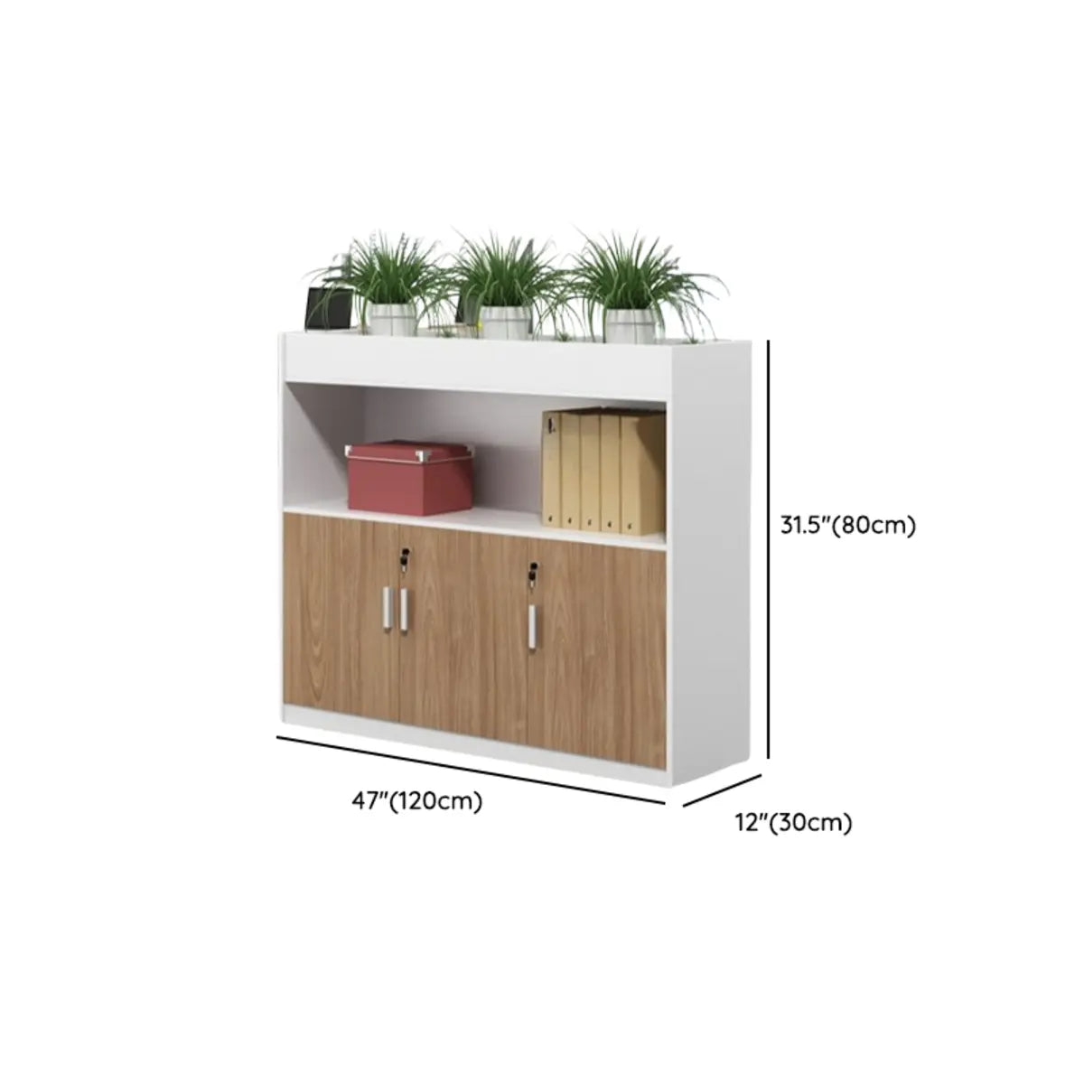 Wooden Rectangular White Plant Storage Office Cabinet Image - 12